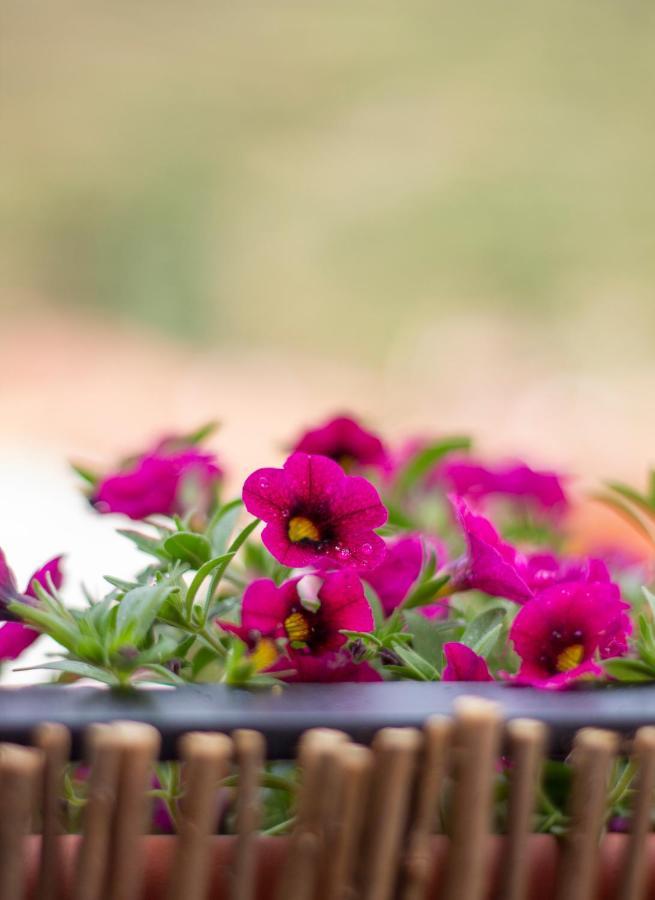 Casa Rural Verde Salvia Arcos de las Salinas エクステリア 写真